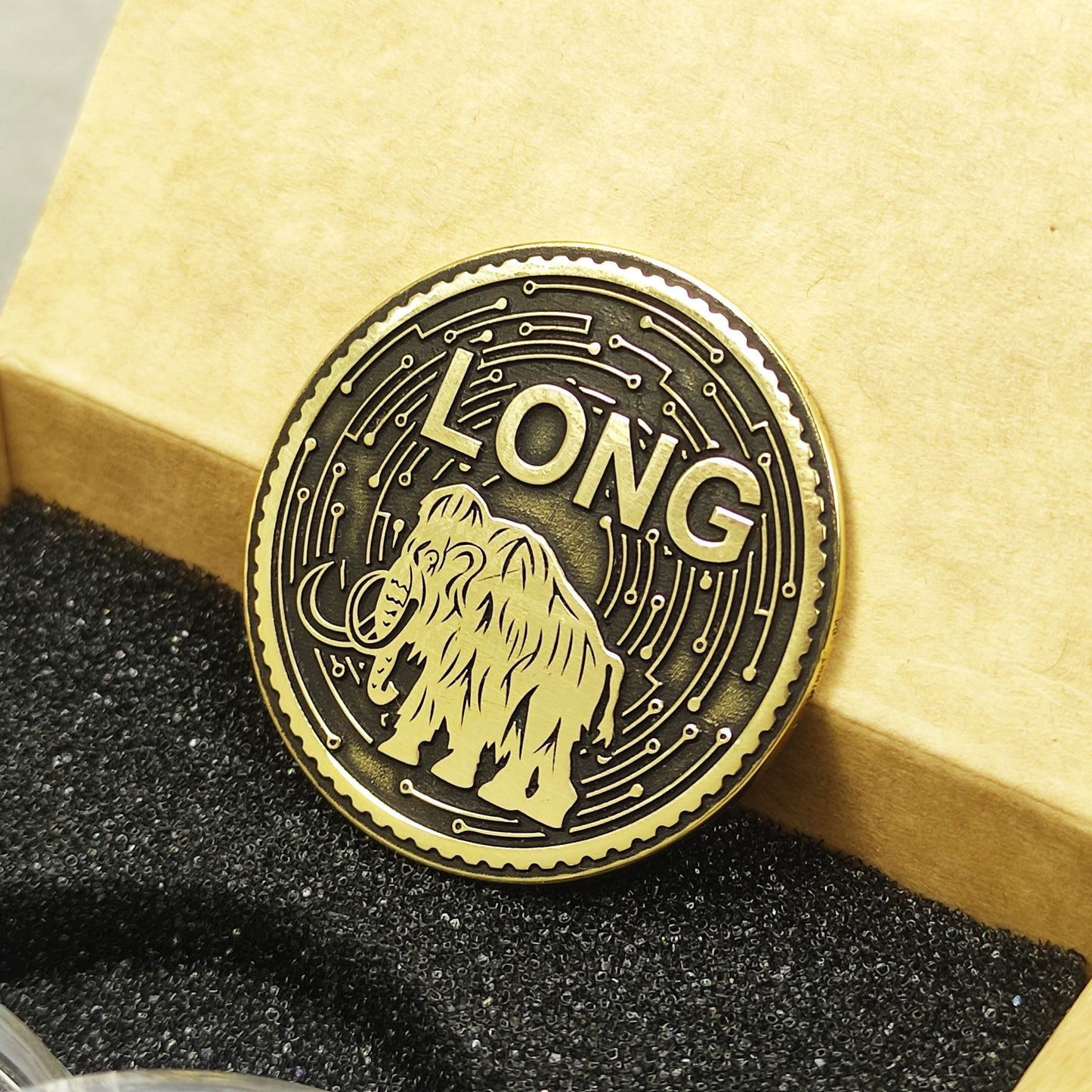 Close-up of premium polished brass mammoth coin showing deep laser etching and decorative borders.