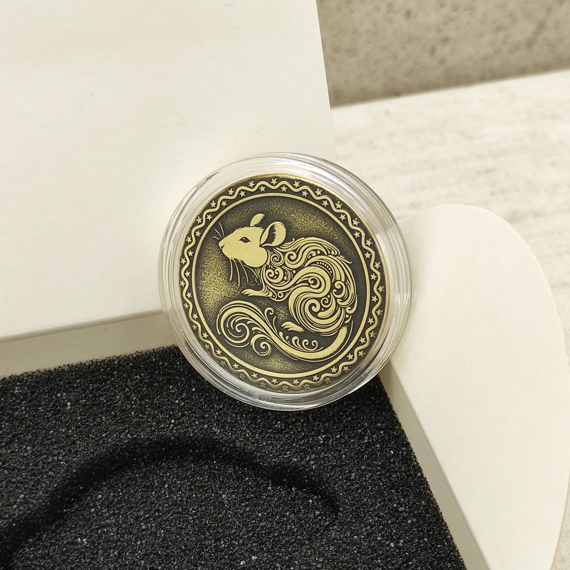 Macro photo of the brass Rat coin in a protective capsule, highlighting the intricate dark recessed patina engraving for high contrast.